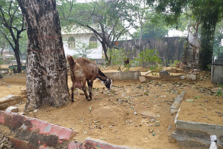 جے پور میں قبرستانوں کی اراضی پر غیرقانونی قبضہ