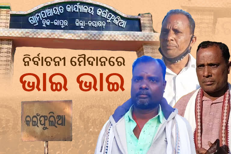 Panchayat Election: ନିର୍ବାଚନୀ ରଣାଙ୍ଗନରେ ୩ ଭାଇ, କ୍ଷମତା ହାସଲ ପାଇଁ କରୁଛନ୍ତି ଲଢେଇ