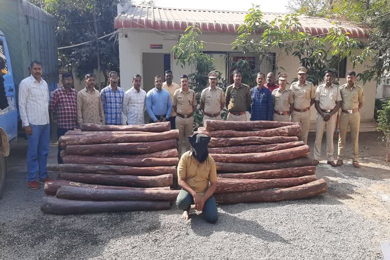 sandalwood worth Rs 2.5 crore seized in Kolhapur