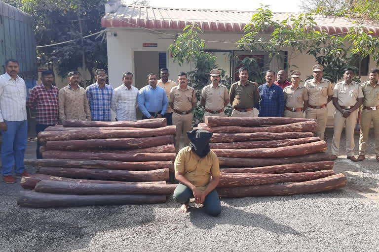 sandalwood seized