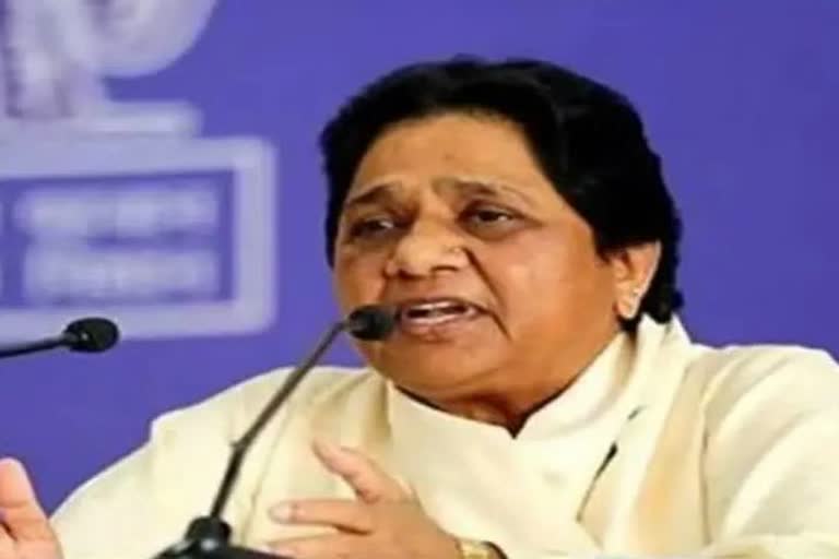 bsp chief mayawati