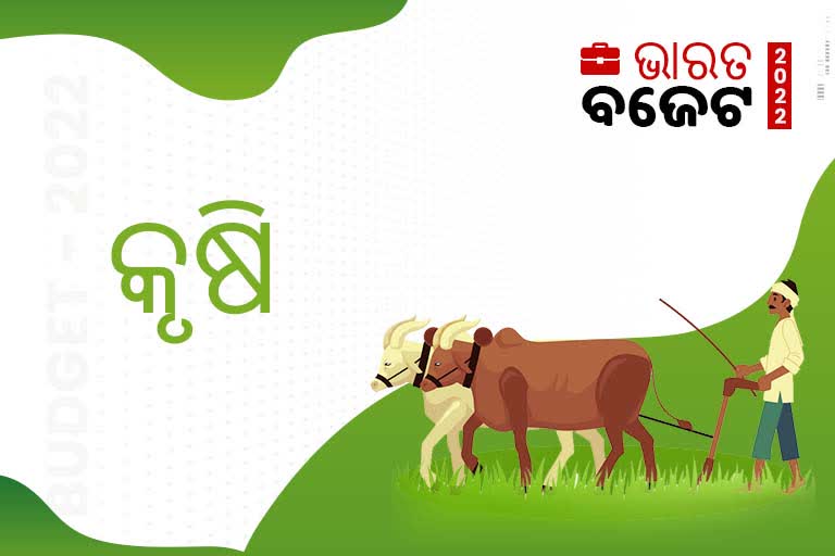 Budget 2022: ନଜର ପକାନ୍ତୁ କଣ ରହିଛି କୃଷି କ୍ଷେତ୍ର ପାଇଁ ବଜେଟରେ ବ୍ୟବସ୍ଥା