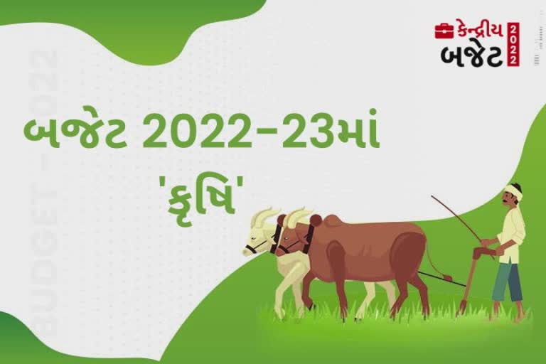 Budget Agriculture Sector: 163 લાખ ખેડૂતો પાસેથી 1,208 મેટ્રિક ટન ઘઉં અને ડાંગરની ખરીદી કરાશે