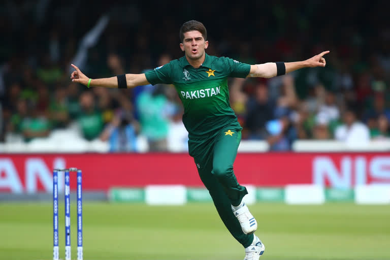 Shaheen Shah Afridi, Shaheen Shah Afridi on Virat Kohli, Shaheen Shah Afridi on India vs Pakistan, Shaheen Shah Afridi on India vs Pakistan