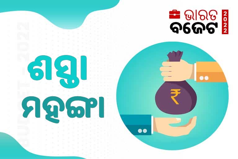 Union Budget 2022: ଜାଣନ୍ତୁ କ'ଣ ଶସ୍ତା ଓ କ'ଣ ମହଙ୍ଗା ?