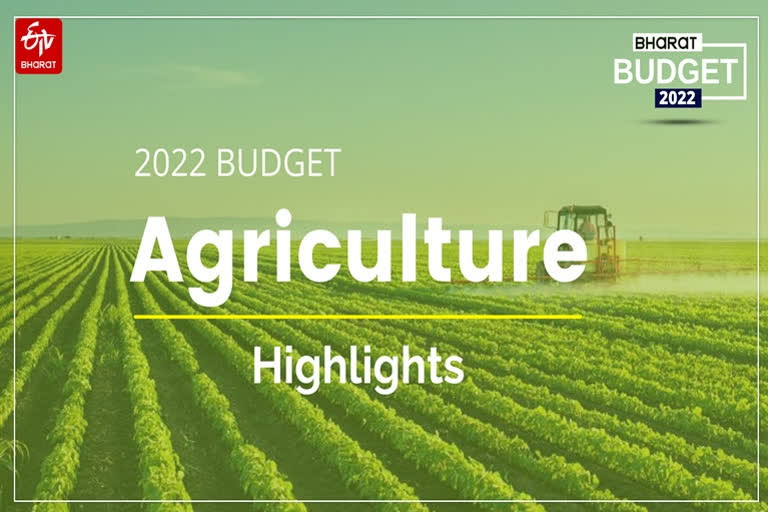 Budget 2022: Agriculture highlights in 10 points