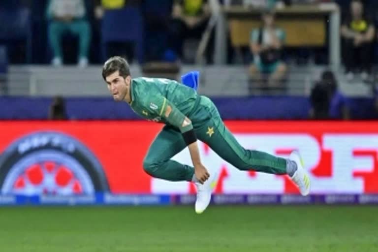 Shaheen Afridi  शाहीन अफरीदी  Pakistan win against India in T20 World Cup  Pakistan vs India  T-20 World Cup  टी20 वर्ल्ड कप  तेज गेंदबाज शाहीन शाह अफरीदी  खेल समाचार  Sports News