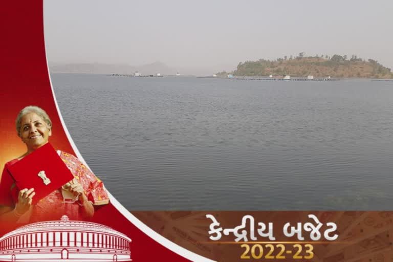 River Link Project in Gujarat: બજેટમાં જાહેરાત પછી વર્ષોથી માત્ર કાગળ પર રહેલો રિવર લિન્ક પ્રોજેક્ટ આવશે અમલમાં, શું છે આ પ્રોજેક્ટ, જુઓ