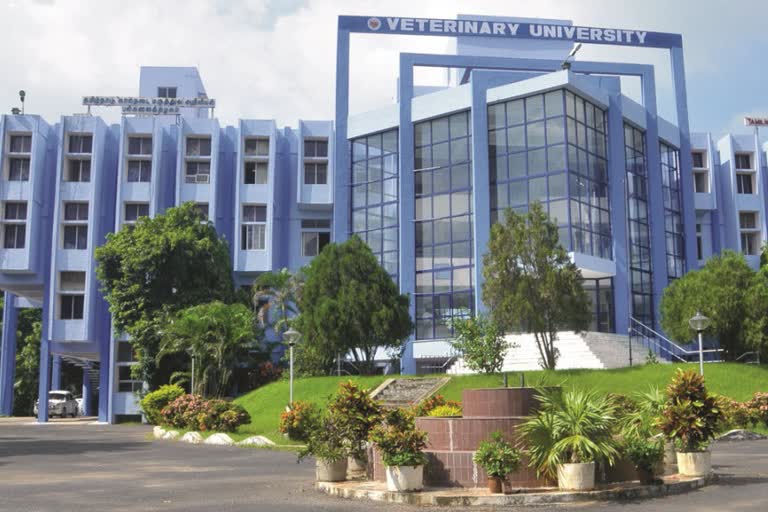 கால்நடை மருத்துவப்படிப்பு தரவரிசைப் பட்டியல் வெளியீடு