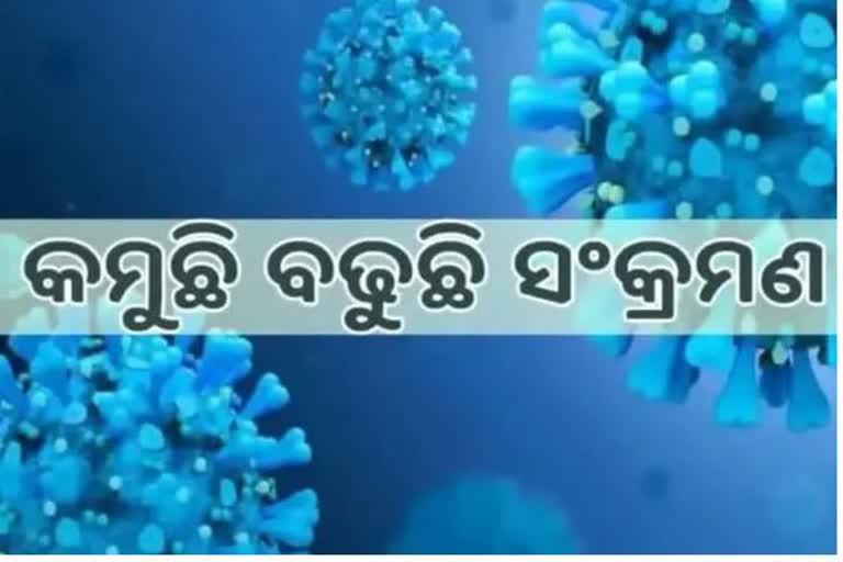 Odisha Corona: ଦିନକରେ ୩୬୨୯ ସଂକ୍ରମିତ ଚିହ୍ନଟOdisha Corona: ଦିନକରେ ୩୬୨୯ ସଂକ୍ରମିତ ଚିହ୍ନଟ