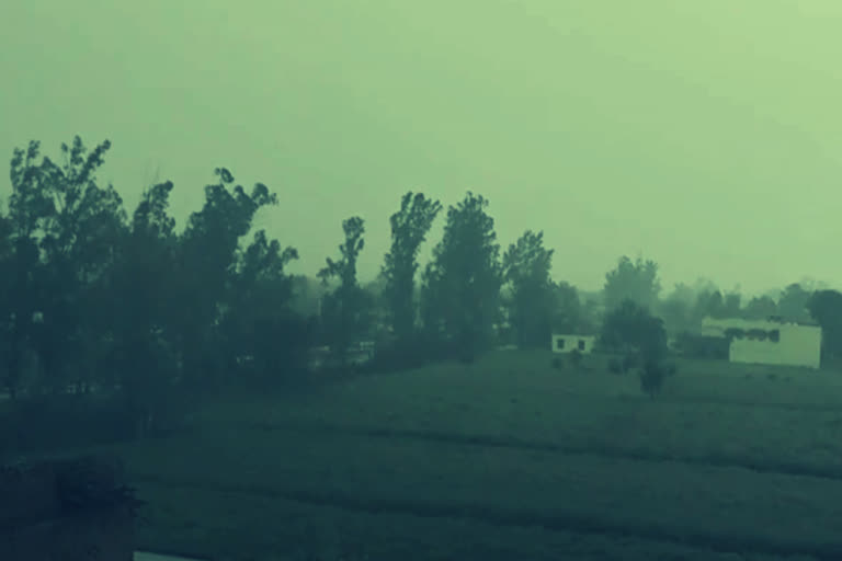 rain-in-haryana