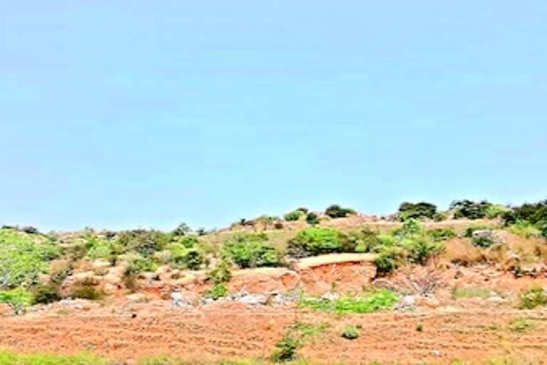 GOVT LAND KABJA