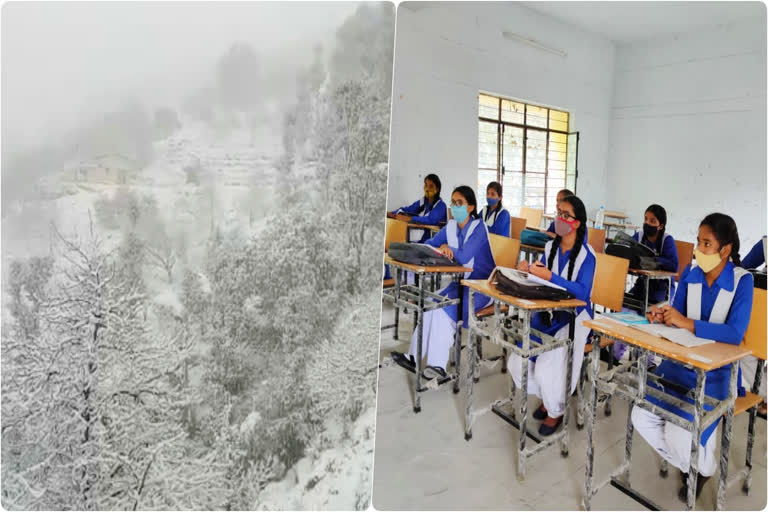 nainital school closed