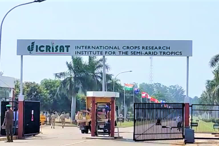 icrisat golden jubilee