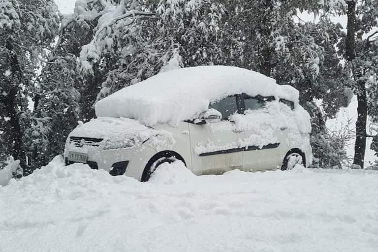 Snowfall in Solan