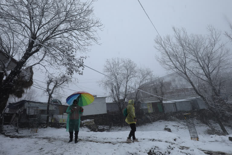 Cold wave in Kangra Valley