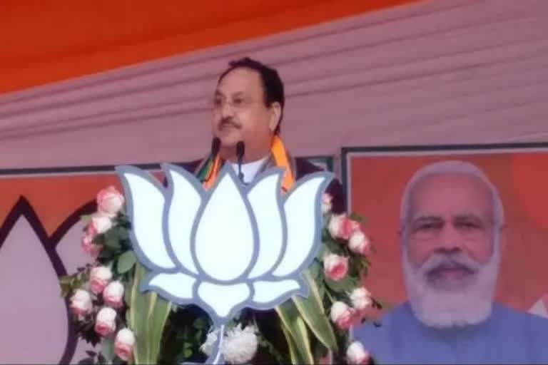 BJP National President JP Nadda