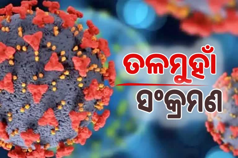 Odisha Corona Report: ଦିନକରେ ୨୬୯୭ ସଂକ୍ରମିତ ଚିହ୍ନଟ