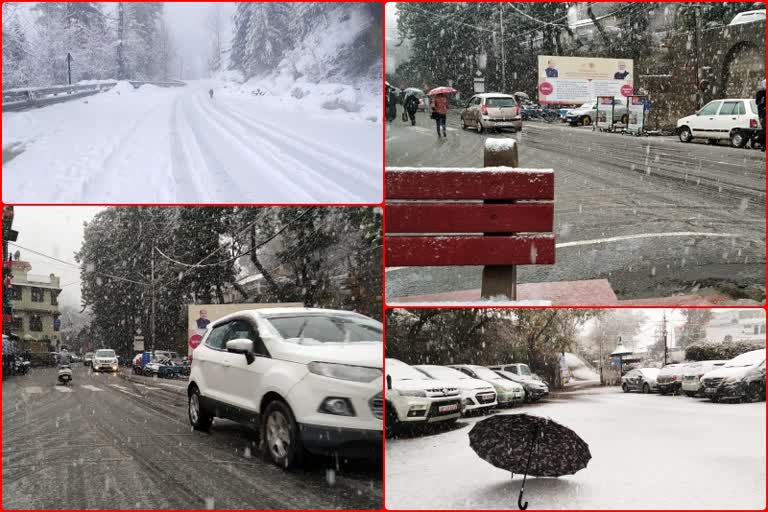 FRESH SNOWFALL IN SOLAN