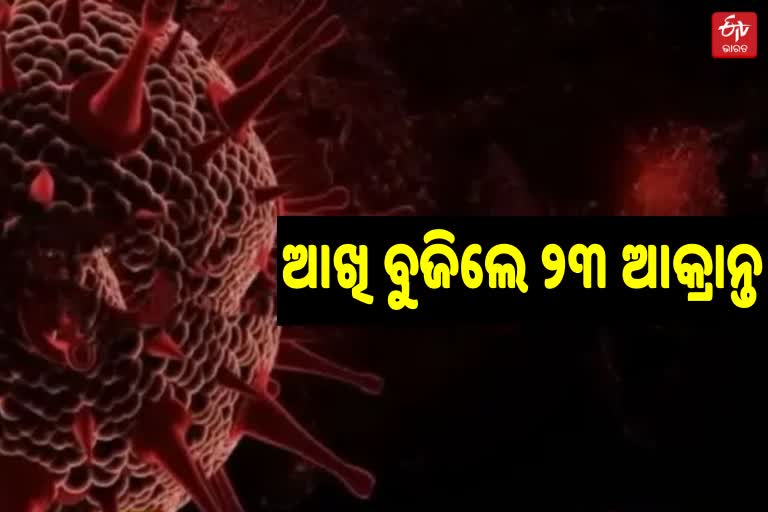 ଘାତକ ହେଉଛି ମହାମାରୀ, ଦିନକରେ ନେଲା 23 ଜୀବନ