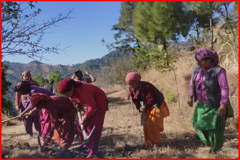 National Mobile Monitoring System In Karsog