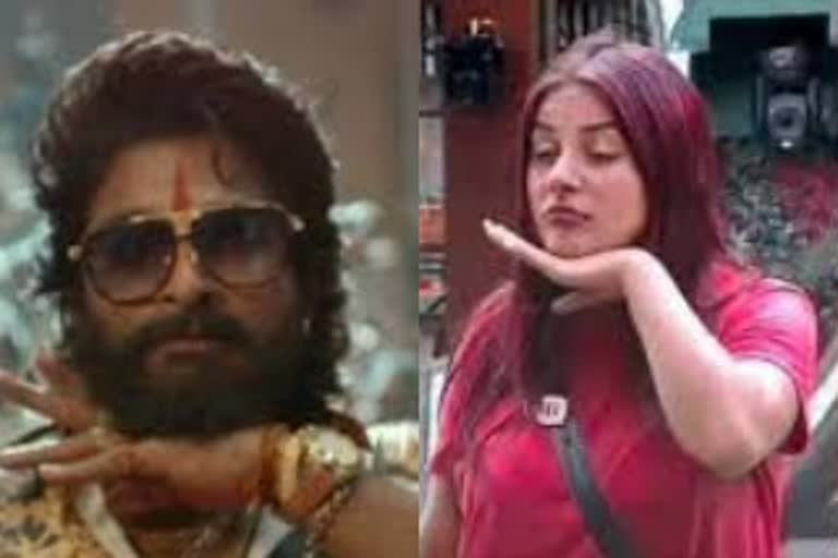 Allu Arjun hand gesture signed copy Bigg Boss Contestant shehnaaz gill