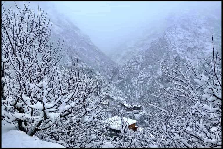 SNOWFALL IN KINNAUR