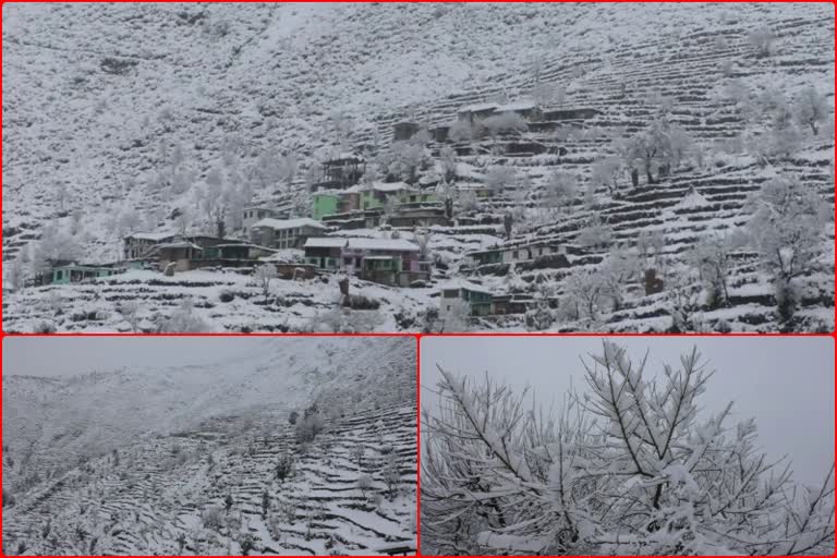 heavy snowfall in chamba