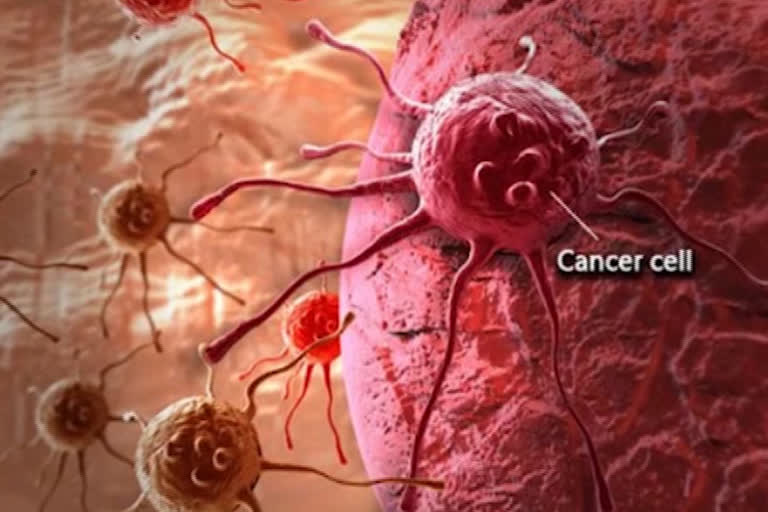 role of curcumin in cancer therapy, cancer treatment