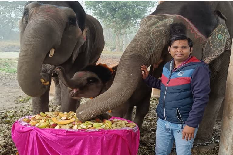 दुधवा टाइगर रिजर्व