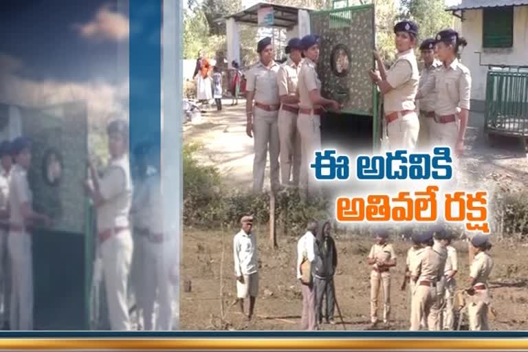 Squad of 7 women foresters guard