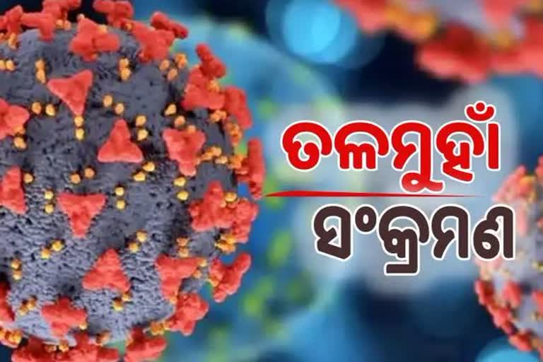 Odisha Corona Report: ଦିନକରେ ୨୬୦୩  ସଂକ୍ରମିତ ଚିହ୍ନଟ