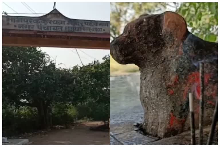 Dog Temple in Durg
