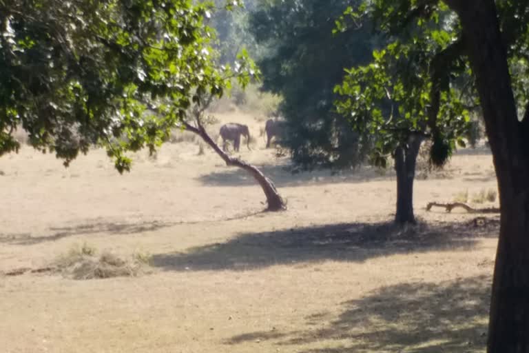 border of Jharkhand Bihar