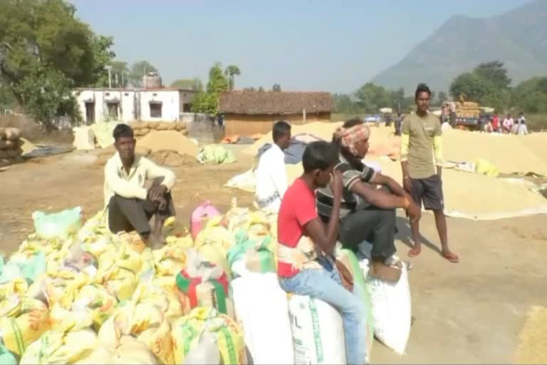 Kalahandi Farmers Issue: ଧିମେଇ ଯାଇଛି ମଣ୍ଡି ବ୍ୟବସ୍ଥା, ଚିନ୍ତାରେ ଚାଷୀ