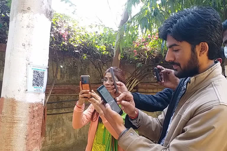 Barcodes on trees of Jiwaji University