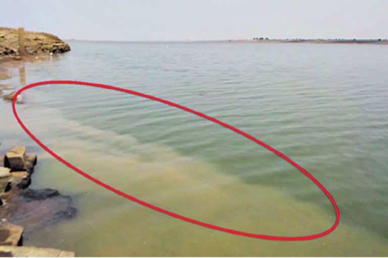 Krishna River Pollution