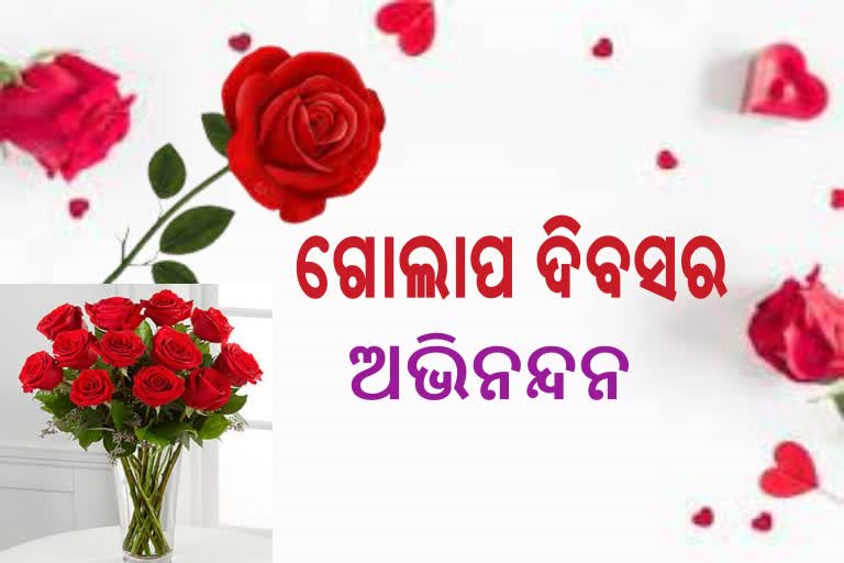 ଗୋଲାପରୁ ଆରମ୍ଭ ପ୍ରେମ ସପ୍ତାହ....