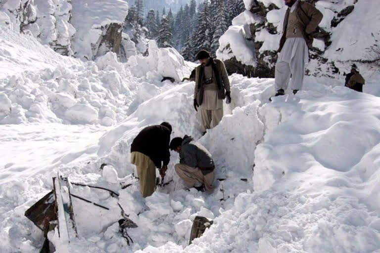 Avalanche kills several people on Pak-Afghan border