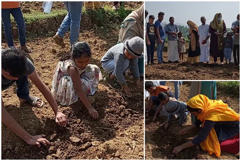 ഭിന്നശേഷിക്കാരായ വിദ്യാര്‍ഥികള്‍ കൃഷിയിറക്കി  കൊടിയത്തൂര്‍ കുറ്റിപൊയില്‍ വയല്‍  പരിവാര്‍ കൊടിയത്തൂര്‍ പഞ്ചായത്ത് കമ്മിറ്റി  Kozhikode Non disabled students  vegetable farming kodiyathoor  KOzhikode latest news  agricultural news