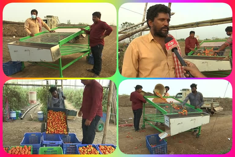 tomato cultivation machine