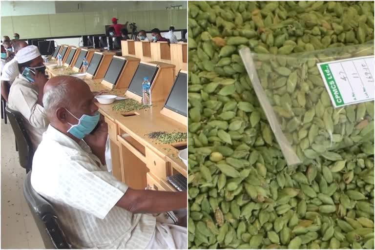 cardamom price  cardamom auction latest  spices board intervention in cardamom auction  cardamom price increases in kerala  ഏലയ്ക്ക ലേലം  സ്‌പൈസസ് ബോര്‍ഡ് ഏലയ്ക്ക ലേലം  ഏലം വിലവര്‍ധനവ്  ഏലയ്ക്ക വില വര്‍ധിച്ചു