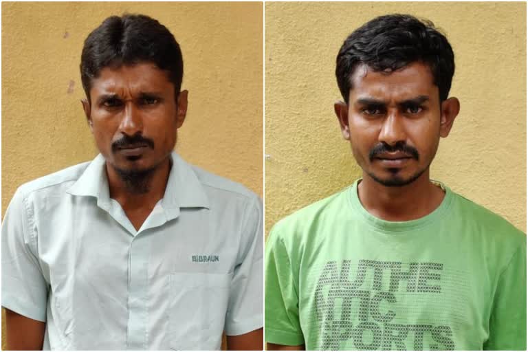 two-accused-arrested-for-ganja-pedling-in-bengaluru