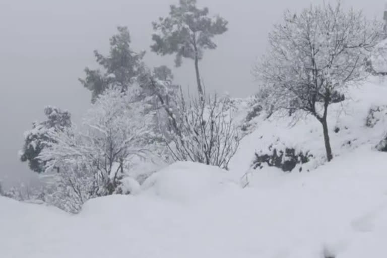 snowfall in himachal pradesh