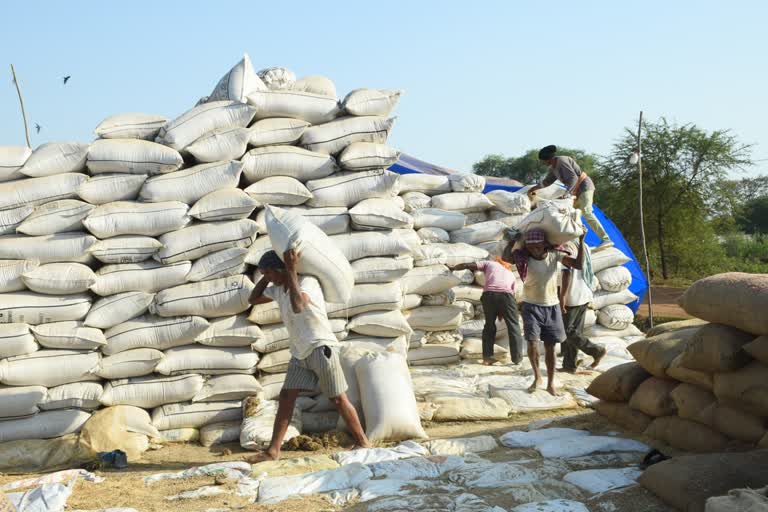 Paddy purchase stopped in Dhamtari