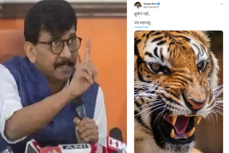 Sanjay Raut on ED