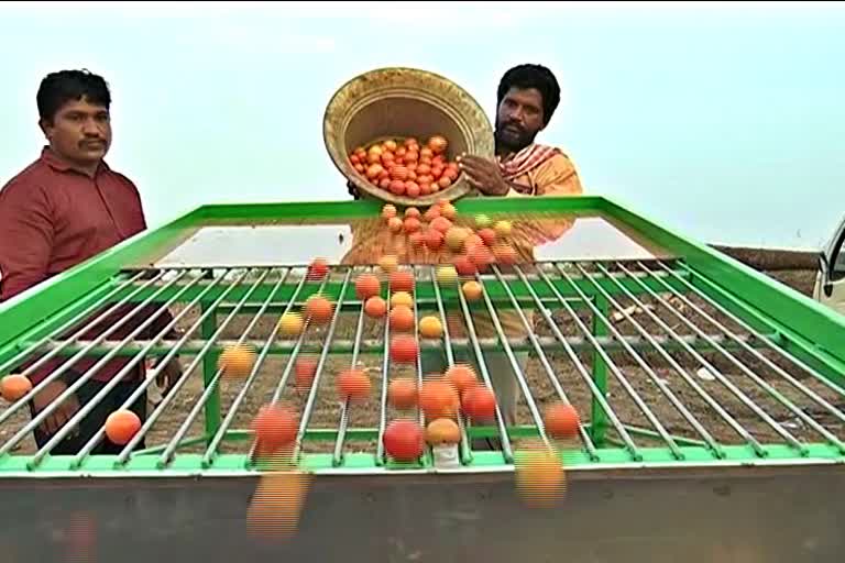 Grading Machine for Tomato