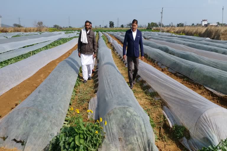 Farming With New Technology In Nuh