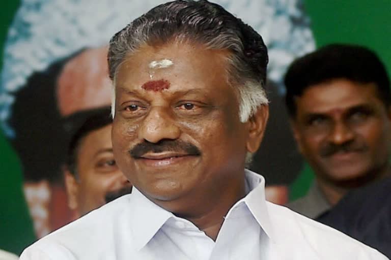 'மக்கள் தீர்ப்பு திமுகவுக்கு பாடமாக அமையும்' - ஓபிஎஸ்