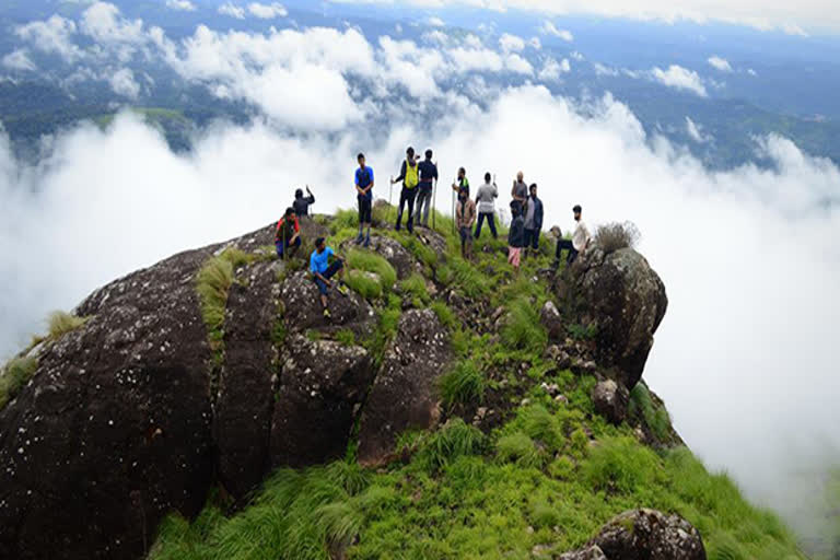 Forest Department takes action against illegal trekking  illegal trekking in kerala  Unauthorized forest encroachment  trekking kerala  safe trekking measures  അനധികൃതമായുള്ള കാട് കയറ്റത്തിന് തടയിടാൻ വനം വകുപ്പ്  അനധികൃതമായുള്ള കാട് കയറ്റം  അനധികൃത ട്രക്കിങ്  അനുമതിയോടെ ട്രക്കിങ് അനുവദിക്കണമെന്ന് ആവശ്യം